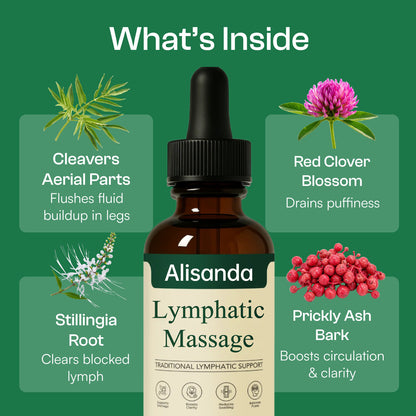 Daily Lymphatic Support Drops
