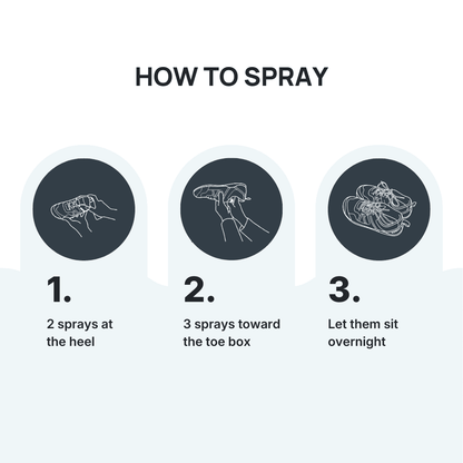Shoe Deodorizer Spray